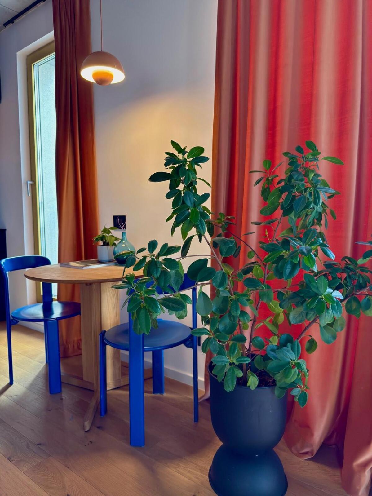 Apartament Nook 48 Victoriei New Building With Parking And Security